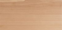 15 x 90 mm Thermo Espe Sauna Profilholz, Softline (Rundprofil), A-Sortierung, gehobelt, thermisch behandelt, i.P. astfrei, (Bund: 6 St. / Längen nach Verfügbarkeit: 210 / 240 / 270 cm)
