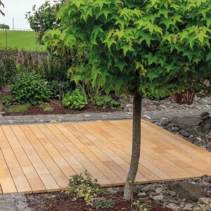 23 x 118 mm Robinie Terrassendiele ungedämpft, DK...