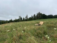 Das Waldsofa / Drehliege mit Kippfunktion, Auflage aus Kan. Lärche Latten gehobelt, 2 Untergestelle aus 5 mm Stahl / Oberfläche Grundiert / Pulverbeschichtet - DB 703 Anthrazit, Format ca.: B 148 cm x H 120 cm x T 150 cm