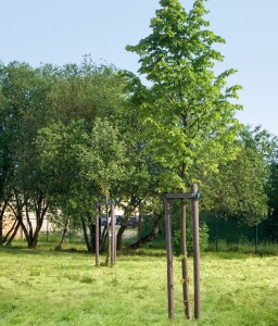 80 mm x 1750 mm Rundpfosten Vollmaterial mit Spitze grau aus Recyclingkunststoff, strukturiert, gemasert, VE: 60 St., Gewicht / Stück: 8,2 kg, Schadstofffrei nach DIN EN 71-3