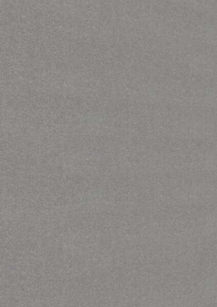 12 x 250 x 3300 mm Bocado Dekorpaneele 250, Vlies grau 20105, Nullfuge Holznachbildung (Klammer Top 4), VE: 3 Stück / 2,48 qm
