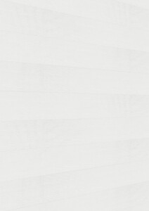 12 x 250 x 4100 mm Terra Dekorpaneele DB 250, White ash...
