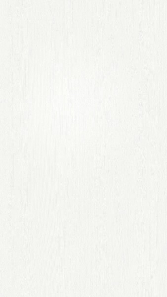 12 x 250 x 4100 mm Terra Dekorpaneele DB 250, Vintage white 20099, Nullfuge Dekor (Klammer Top 4), VE: 3 Stück / 3,08 qm