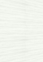 9,5 x 200 x 2600 mm Tertio Dekorpaneele 200, White wood 20106, Nullfuge Holznachbildung (Klammer Nr. 3), VE: 5 Stück / 2,60 qm