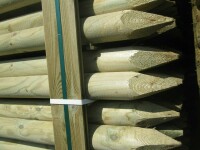 50 mm x 1,20 m Baumpfähle gespitzt,zylindrisch gefräst & gespitzt, Kopf gefast Kiefer Kesseldruckimprägniert grün oder braun 108 Stück im Pak./gestöckert