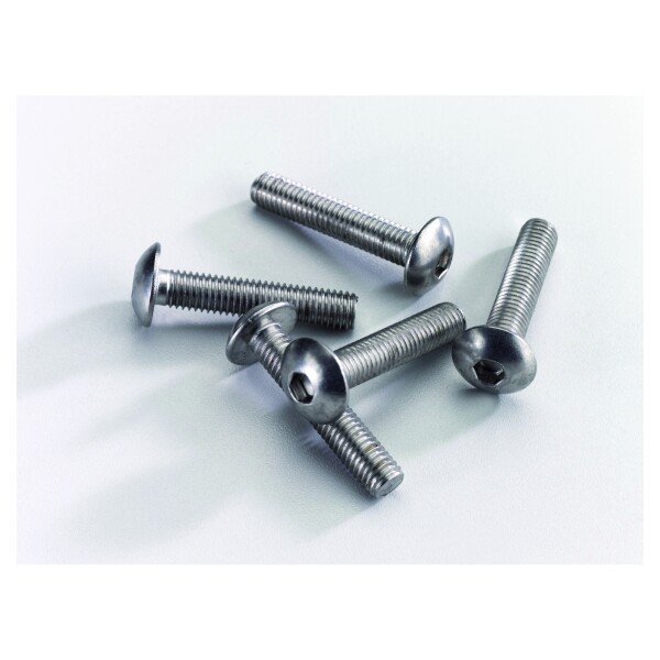 Sicherheitsschraube, M8 x 40, Edelstahl zum befestigen von Gitterzaunklammer, mit Innensechskant,  Art.-Nr.: T&J-27813