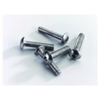 Sicherheitsschraube, M8 x 40, Edelstahl zum befestigen von Gitterzaunklammer, mit Innensechskant,  Art.-Nr.: T&J-27813