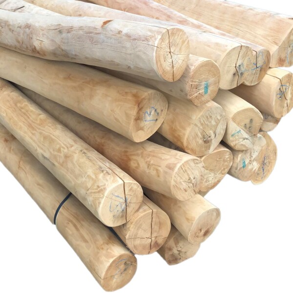 8 - 10 cm (min-max) x Länge: 250 cm Robinien-Pfähle, geschält, gespitzt, Katalogseite: 117, Art.-Nr.: 206751 L