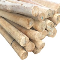 10 - 14 cm (min-max) x Länge 150 cm Robinien Poller wie gewachsen, entsplintet und geschliffen, Katalogseite: 108, Art.-Nr.: 207178 L