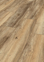 8 x 244 x 1380 mm MY FLOOR Laminatboden Cottage Harbour Oak Beige MV839, Breitdiele, Nutzungsklasse 32, AC 5, umlaufende Fase, 5G-Klickverbindung, Synchronpore, Blauer Engel, VE: 8 Stück / 2,694 qm