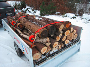 35 mm Quickloader Automatik-Zurrgurt, Spitzhaken, D-Ring, Länge: 500 cm, zul. Zugkraft direkt: 1000 kg, zul. Zugkraft umgelegt: 2000 kg, VE: 4 St.