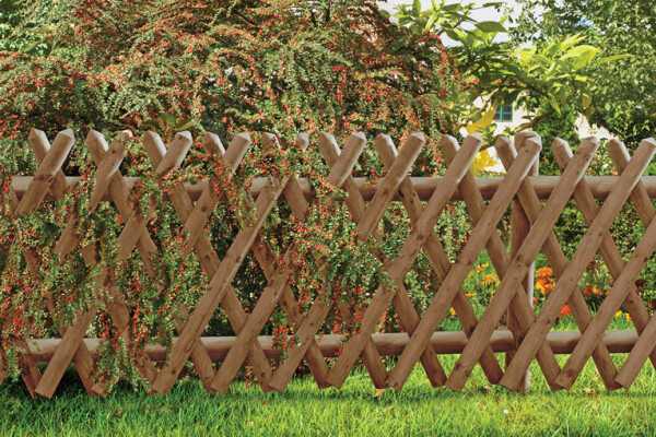 Jägerzaun 55, braun, 250x80cm, VE: 40, Art.-Nr.: 20789