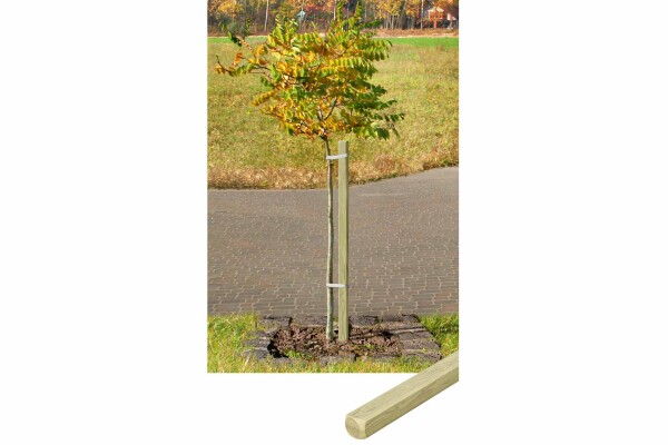 Pflanzstab, vierkant, grün, 3,2x3,2x120cm, VE: 252, Art.-Nr.: 60003