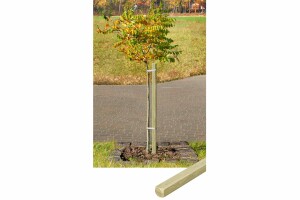 Pflanzstab, vierkant, grün, 3,2x3,2x120cm, VE: 252, Art.-Nr.: 60003