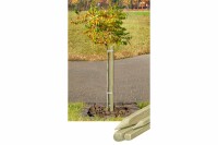 Pflanzstab, vierkant, grün, 3,2x3,2x120cm, VE: 252, Art.-Nr.: 60003