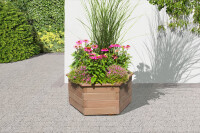 KATY Pflanzkasten sechseckig, Lärche, Ø60x35cm, VE: 6, Art.-Nr.: 61021