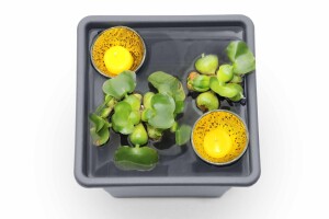 Pflanzkasteneinsatz anthrazit, 32x32x26cm, VE: 18, Art.-Nr.: 61056