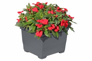 Pflanzkasteneinsatz anthrazit, 32x32x26cm, VE: 18, Art.-Nr.: 61056