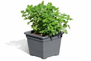 Pflanzkasteneinsatz anthrazit, 32x32x26cm, VE: 18, Art.-Nr.: 61056