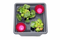 Pflanzkasteneinsatz anthrazit, 32x32x26cm, VE: 18, Art.-Nr.: 61056