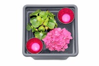 Pflanzkasteneinsatz anthrazit, 32x32x26cm, VE: 18, Art.-Nr.: 61056