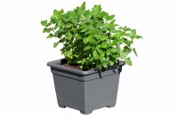 Pflanzkasteneinsatz anthrazit, 32x32x26cm, VE: 18, Art.-Nr.: 61056