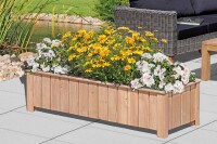 CLEO 4er Pflanzkasten, Lärche, 134x38x30cm, VE: 6, Art.-Nr.: 60924
