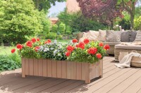 CLEO 4er Pflanzkasten, Lärche, 134x38x30cm, VE: 6, Art.-Nr.: 60924