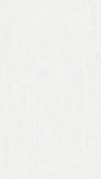 9,5 x 200 x 2600 mm Tertio Dekorpaneele 200, Esche alpinweiß 00384, Nullfuge Holznachbildung (Klammer Nr. 3), VE: 5 Stück / 2,60 qm