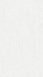 9,5 x 200 x 2600 mm Tertio Dekorpaneele 200, Esche...
