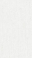 9,5 x 200 x 2600 mm Tertio Dekorpaneele 200, Esche alpinweiß 00384, Nullfuge Holznachbildung (Klammer Nr. 3), VE: 5 Stück / 2,60 qm