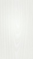 9,5 x 200 x 2600 mm Tertio Dekorpaneele 200, Esche perlweiß 00382, Nullfuge Holznachbildung (Klammer Nr. 3), VE: 5 Stück / 2,60 qm